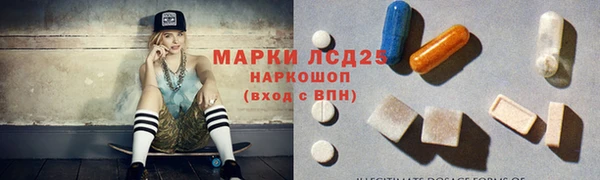 гашик Дмитровск