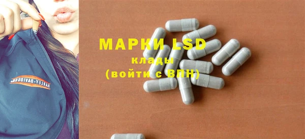 гашик Дмитровск