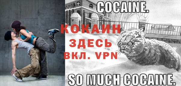 гашик Дмитровск