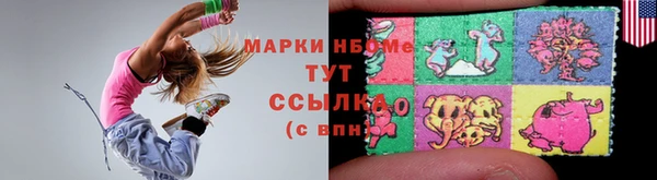 гашик Дмитровск
