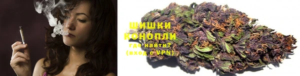 Альфа ПВП Елизово