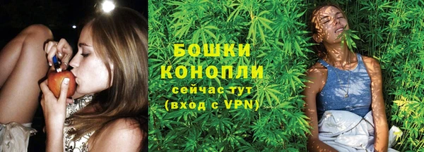 гашик Дмитровск