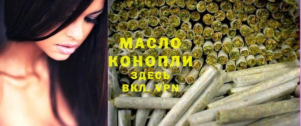 гашик Дмитровск