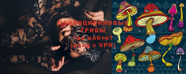 гашик Дмитровск