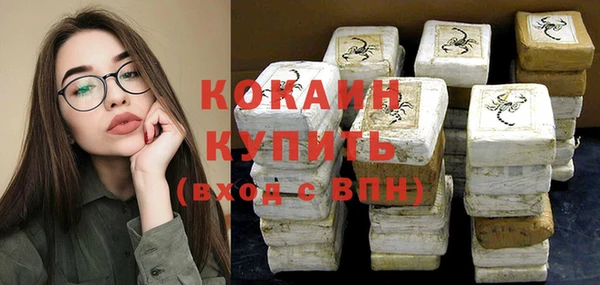 гашик Дмитровск