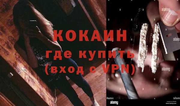 гашик Дмитровск