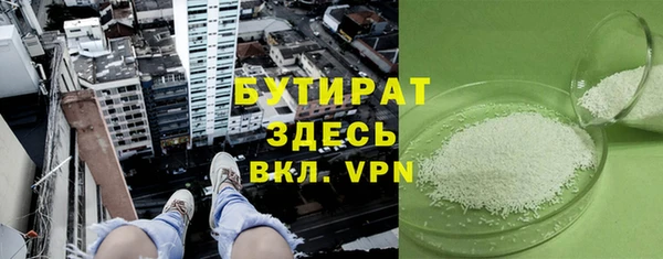 хмурый Ельня