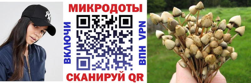 Купить закладки  Егорьевск  Псилоцибиновые грибы мицелий 